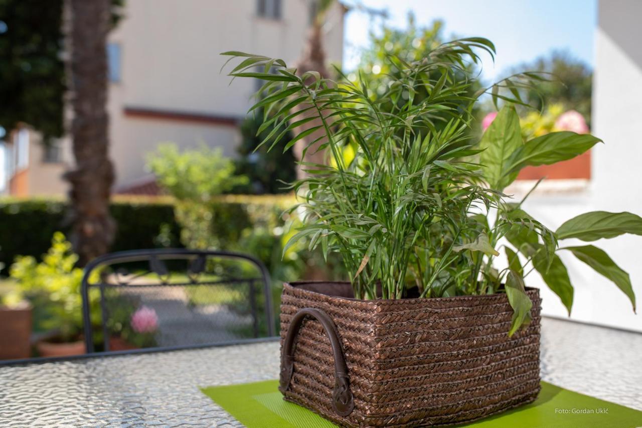 Apartman Luka Rovinj Dış mekan fotoğraf